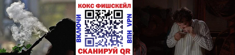 Кокаин Fish Scale  Купить закладки  Гагарин 