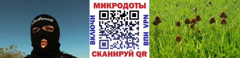 Псилоцибиновые грибы MAGIC MUSHROOMS  Купить  Гагарин 